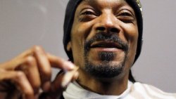 Canabis Meme Template