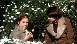 Harold and Maude with Daises, Pensive Meme Template