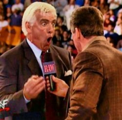 ric flair wooo Meme Template