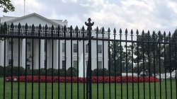 White House fence Meme Template