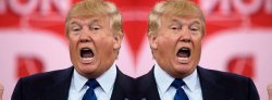 twofacetrump Meme Template