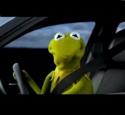 kermit the frog frowned face Meme Template