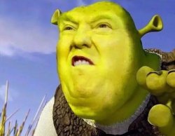 trumpShrek Meme Template