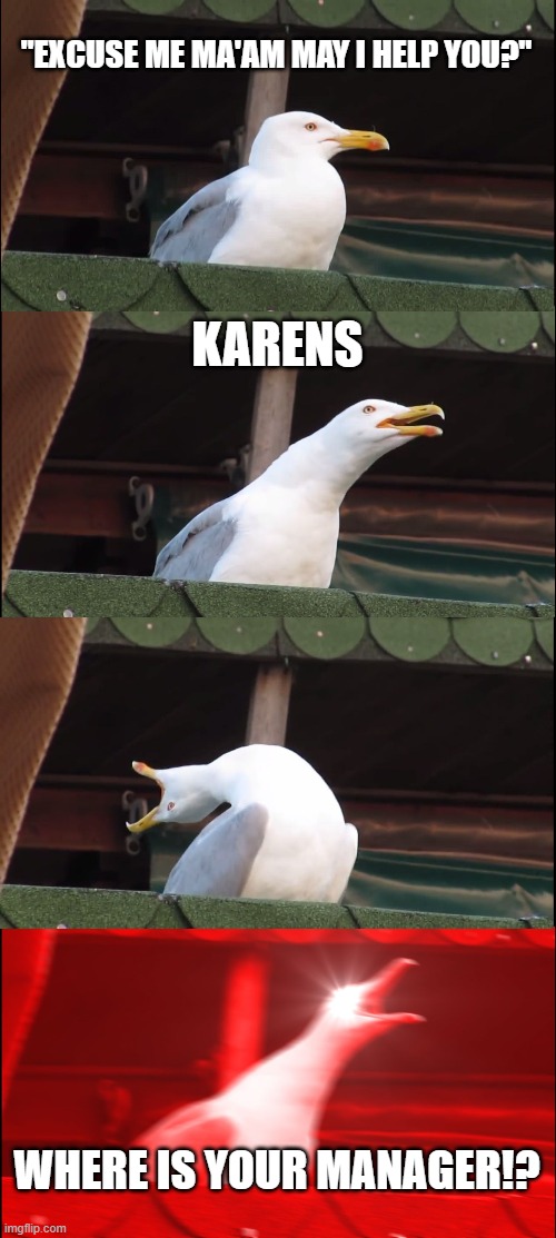 Karens be like | "EXCUSE ME MA'AM MAY I HELP YOU?"; KARENS; WHERE IS YOUR MANAGER!? | image tagged in memes,inhaling seagull | made w/ Imgflip meme maker