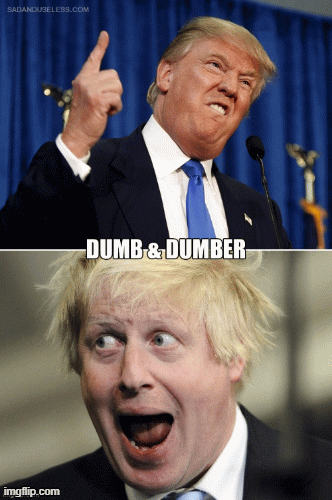 Dumb and dumber | image tagged in donald trump approves | made w/ Imgflip images-to-gif maker