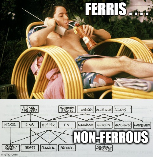 FERRIS . . . . NON-FERROUS | image tagged in fun,funny memes,funny meme,bad pun,lol,lol so funny | made w/ Imgflip meme maker