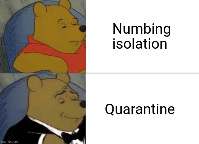 It's all fun and games till someone loses an eye | Numbing isolation; Quarantine | image tagged in memes,tuxedo winnie the pooh | made w/ Imgflip meme maker