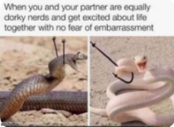 THIS IS A REPOST I THOUGHT IT WAS CUTE THAT TWO SLYTHERIN BUDDIES WERE Rockin' | image tagged in snakes,arms,memes,oh wow are you actually reading these tags,lol,jk | made w/ Imgflip meme maker