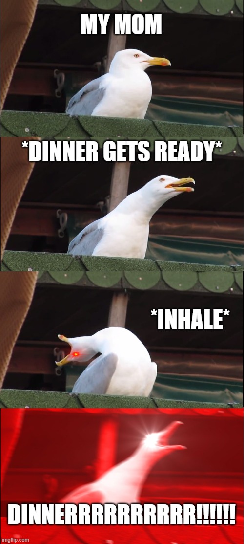 When dinner is ready | MY MOM; *DINNER GETS READY*; *INHALE*; DINNERRRRRRRRRR!!!!!! | image tagged in memes,inhaling seagull | made w/ Imgflip meme maker