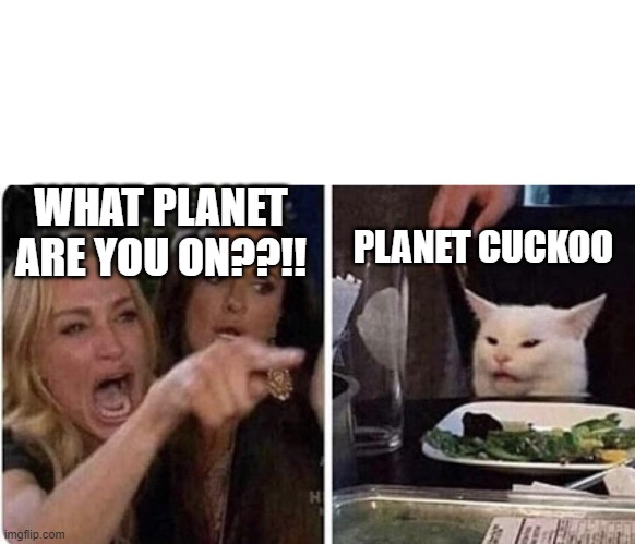 Angry Woman and Cat | WHAT PLANET ARE YOU ON??!! PLANET CUCKOO | image tagged in angry woman and cat | made w/ Imgflip meme maker