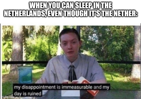 NeThErLaNdS | WHEN YOU CAN SLEEP IN THE NETHERLANDS, EVEN THOUGH IT'S THE NETHER: | image tagged in my dissapointment is immeasurable and my day is ruined | made w/ Imgflip meme maker