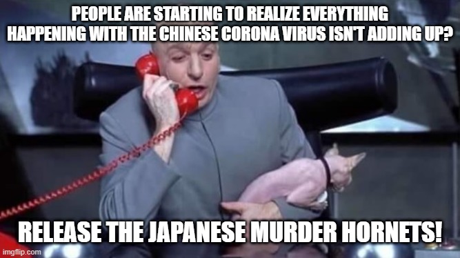 Timing is everything. | PEOPLE ARE STARTING TO REALIZE EVERYTHING HAPPENING WITH THE CHINESE CORONA VIRUS ISN'T ADDING UP? RELEASE THE JAPANESE MURDER HORNETS! | image tagged in covid-19,dr evil | made w/ Imgflip meme maker