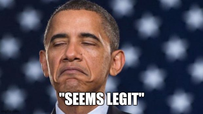 "Seems Legit" Obama | "SEEMS LEGIT" | image tagged in seems legit obama | made w/ Imgflip meme maker