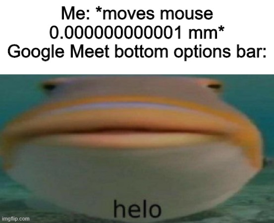 helo | Me: *moves mouse 0.000000000001 mm*
Google Meet bottom options bar: | image tagged in helo | made w/ Imgflip meme maker