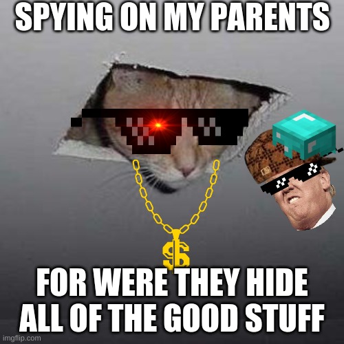 Ceiling Cat | SPYING ON MY PARENTS; FOR WERE THEY HIDE ALL OF THE GOOD STUFF | image tagged in memes,ceiling cat | made w/ Imgflip meme maker