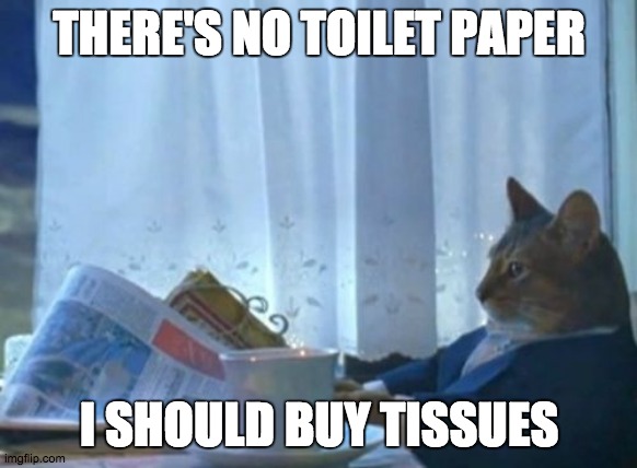 I Should Buy Tissues | THERE'S NO TOILET PAPER; I SHOULD BUY TISSUES | image tagged in memes,i should buy a boat cat | made w/ Imgflip meme maker