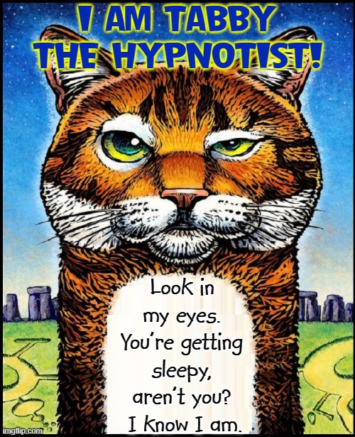 Oops... it's just about that time —for a nap | I AM TABBY THE HYPNOTIST! Look in my eyes. You're getting sleepy, aren't you?  I know I am. | image tagged in vince vance,cats,tabby cat,hypnotist,hypno raycat,funny memes | made w/ Imgflip meme maker