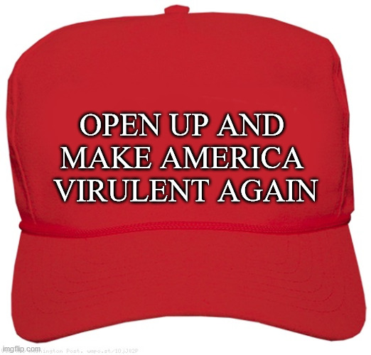 Like everything else they want to just flip a switch without a plan and disregard CDC guidelines. | OPEN UP AND
MAKE AMERICA
 VIRULENT AGAIN | image tagged in blank red maga hat,memes,politics | made w/ Imgflip meme maker