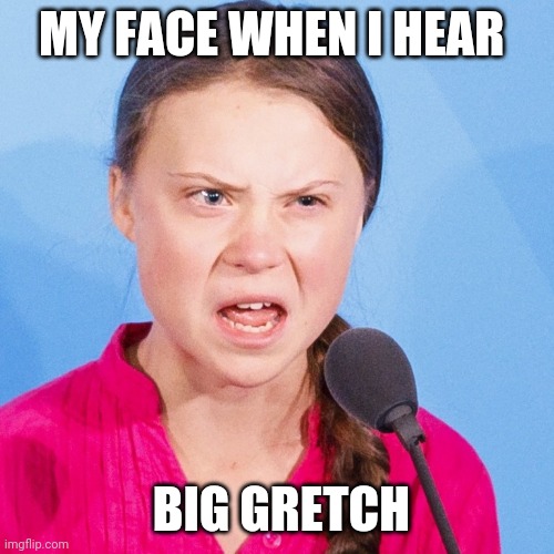 How Dare You | MY FACE WHEN I HEAR; BIG GRETCH | image tagged in how dare you | made w/ Imgflip meme maker