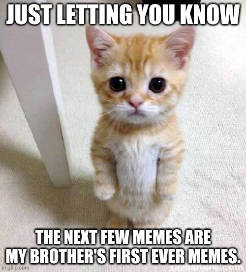 Cute Cat | JUST LETTING YOU KNOW; THE NEXT FEW MEMES ARE MY BROTHER'S FIRST EVER MEMES. | image tagged in memes,cute cat | made w/ Imgflip meme maker