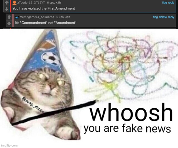 PFFT- | image tagged in woosh cat | made w/ Imgflip meme maker
