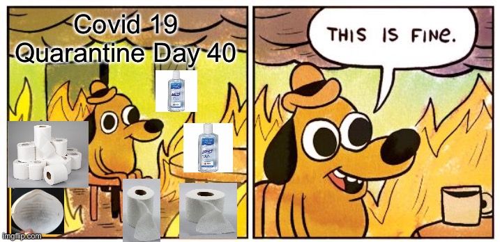 This Is Fine | Covid 19 Quarantine Day 40 | image tagged in memes,this is fine | made w/ Imgflip meme maker