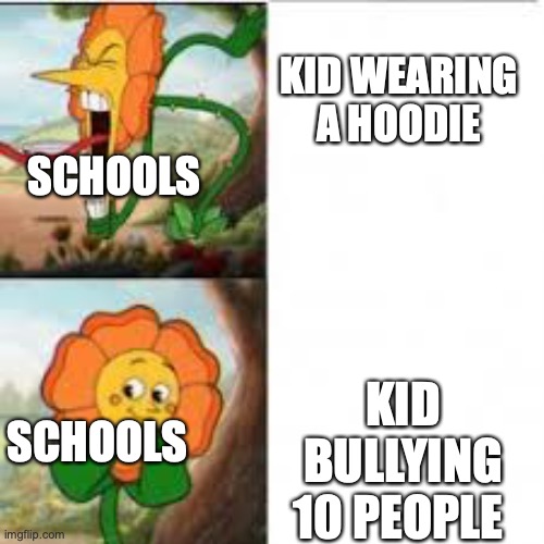 wtf did the hoodie ever do to you | KID WEARING A HOODIE; SCHOOLS; KID BULLYING 10 PEOPLE; SCHOOLS | image tagged in flower | made w/ Imgflip meme maker