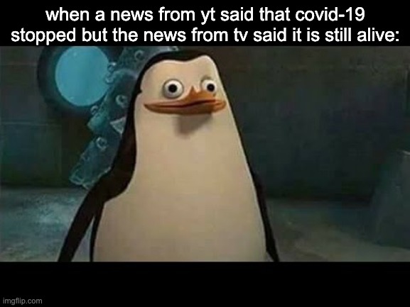 Confused penguin | when a news from yt said that covid-19 stopped but the news from tv said it is still alive: | image tagged in confused penguin | made w/ Imgflip meme maker