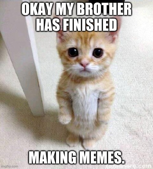 Cute Cat Meme | OKAY MY BROTHER HAS FINISHED; MAKING MEMES. | image tagged in memes,cute cat | made w/ Imgflip meme maker