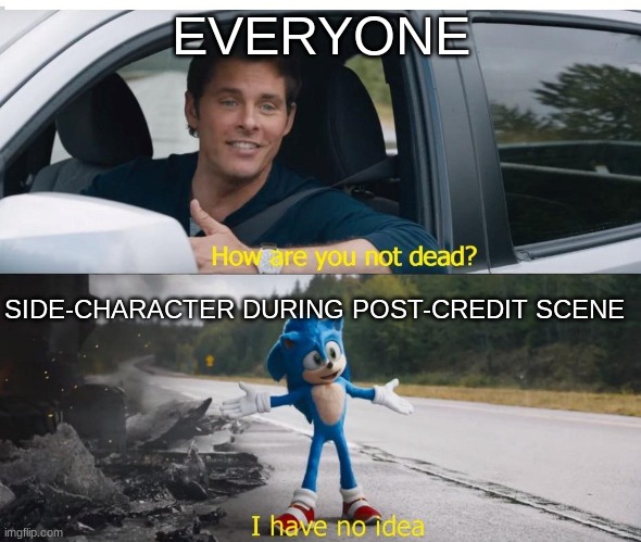 I have no idea | EVERYONE; SIDE-CHARACTER DURING POST-CREDIT SCENE | image tagged in sonic how are you not dead | made w/ Imgflip meme maker