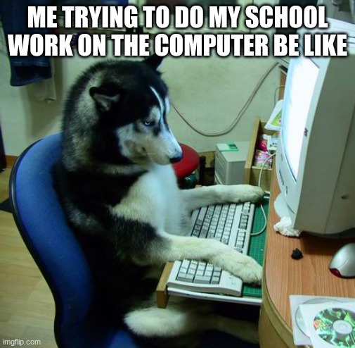 I Have No Idea What I Am Doing Meme | ME TRYING TO DO MY SCHOOL WORK ON THE COMPUTER BE LIKE | image tagged in memes,i have no idea what i am doing | made w/ Imgflip meme maker