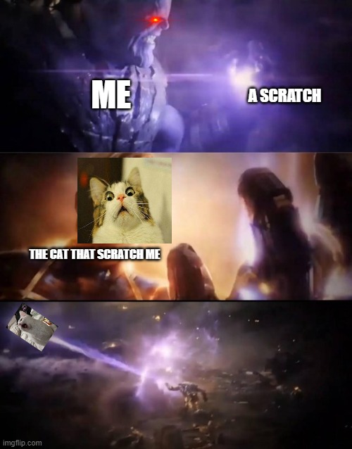 Thanos vs. Captain Marvel | A SCRATCH; ME; THE CAT THAT SCRATCH ME | image tagged in thanos vs captain marvel | made w/ Imgflip meme maker