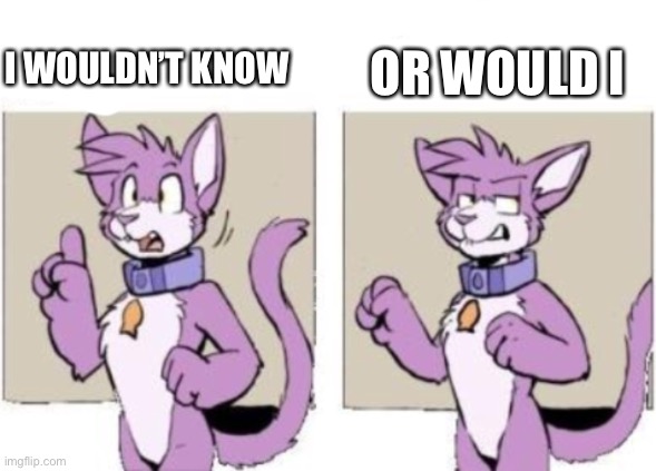 Furry hold on | I WOULDN’T KNOW OR WOULD I | image tagged in furry hold on | made w/ Imgflip meme maker