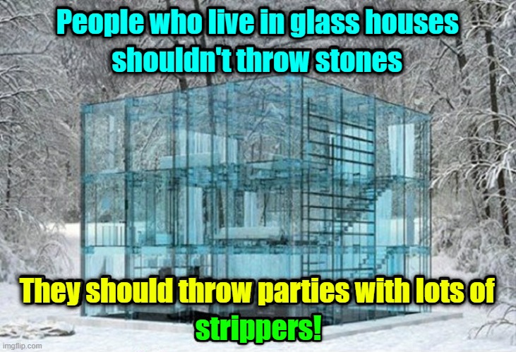Call me nosy, but I hope I'm their next door neighbor | People who live in glass houses; shouldn't throw stones; They should throw parties with lots of; strippers! | image tagged in vince vance,glass houses,throw,stones,new memes,parties | made w/ Imgflip meme maker
