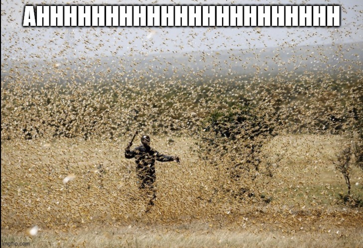 Locust Swarm | AHHHHHHHHHHHHHHHHHHHHHH | image tagged in locust swarm | made w/ Imgflip meme maker