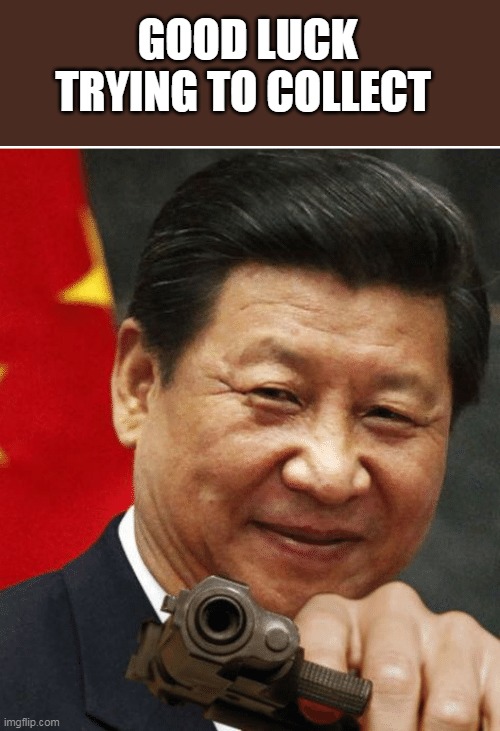 Xi Jinping | GOOD LUCK TRYING TO COLLECT | image tagged in xi jinping | made w/ Imgflip meme maker