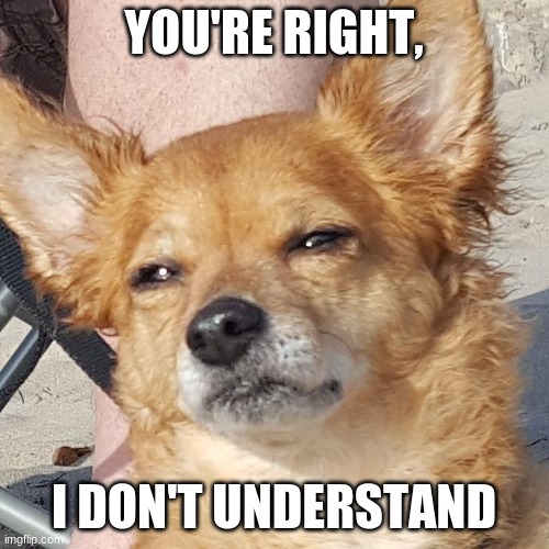 Tilly dont understand | YOU'RE RIGHT, I DON'T UNDERSTAND | image tagged in tilly dont understand | made w/ Imgflip meme maker