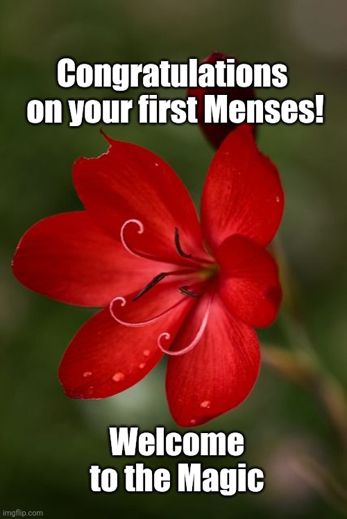 First menses | Congratulations 
on your first Menses! Welcome to the Magic | image tagged in girls,menses,magic,congratulations | made w/ Imgflip meme maker
