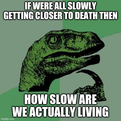 How slow | IF WERE ALL SLOWLY GETTING CLOSER TO DEATH THEN; HOW SLOW ARE WE ACTUALLY LIVING | image tagged in memes,philosoraptor,death,life | made w/ Imgflip meme maker