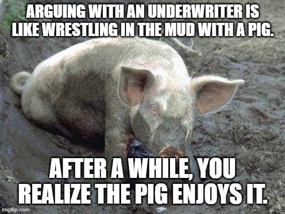 Pig in Mud | ARGUING WITH AN UNDERWRITER IS LIKE WRESTLING IN THE MUD WITH A PIG. AFTER A WHILE, YOU REALIZE THE PIG ENJOYS IT. | image tagged in pig in mud | made w/ Imgflip meme maker