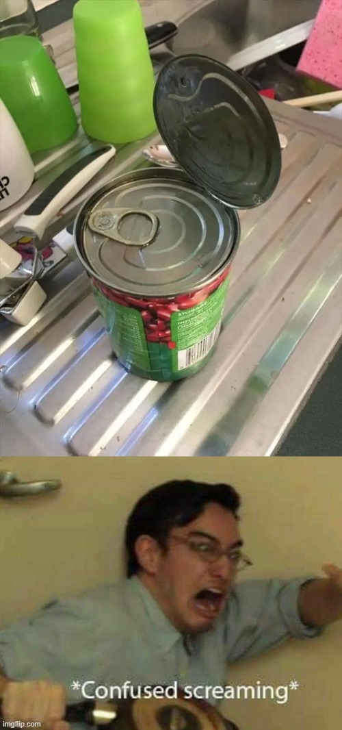 It's canned can! My favorite! | image tagged in confused screaming,memes,funny,can,confused | made w/ Imgflip meme maker