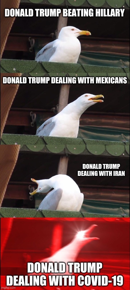 Trump is so underrated look what he has to deal with | DONALD TRUMP BEATING HILLARY; DONALD TRUMP DEALING WITH MEXICANS; DONALD TRUMP DEALING WITH IRAN; DONALD TRUMP DEALING WITH COVID-19 | image tagged in memes,inhaling seagull | made w/ Imgflip meme maker