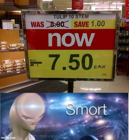 Ah yes they are smort | image tagged in meme man smort,i am smort,stonks,ah yes,why am i doing this,stop reading the tags | made w/ Imgflip meme maker