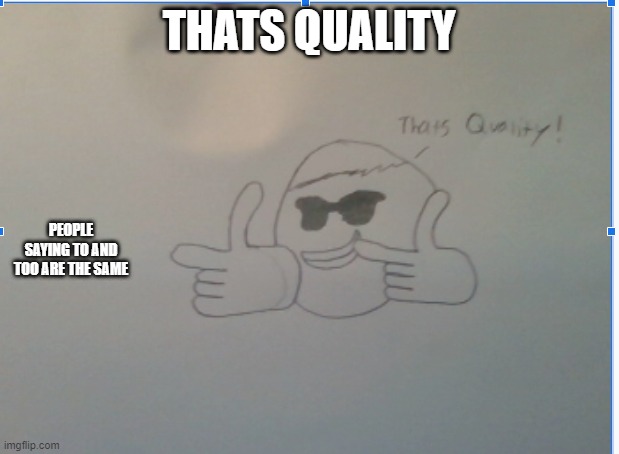 that's quality! | THATS QUALITY; PEOPLE SAYING TO AND TOO ARE THE SAME | image tagged in just plain comedy | made w/ Imgflip meme maker