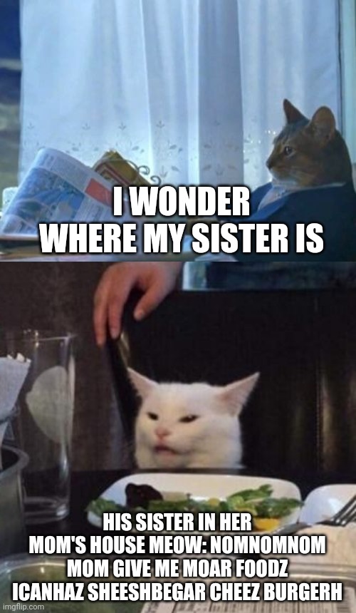 Gluttonous Cat | I WONDER WHERE MY SISTER IS; HIS SISTER IN HER MOM'S HOUSE MEOW: NOMNOMNOM MOM GIVE ME MOAR FOODZ ICANHAZ SHEESHBEGAR CHEEZ BURGERH | image tagged in memes,i should buy a boat cat,woman yelling at cat,cats | made w/ Imgflip meme maker