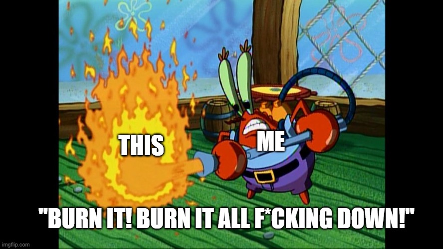 Burn It / It Spoiled | ME THIS "BURN IT! BURN IT ALL F*CKING DOWN!" | image tagged in burn it / it spoiled | made w/ Imgflip meme maker