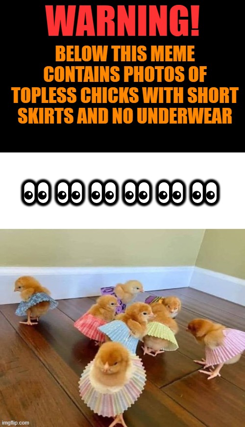 topless chicks | WARNING! BELOW THIS MEME CONTAINS PHOTOS OF TOPLESS CHICKS WITH SHORT SKIRTS AND NO UNDERWEAR; 👀👀👀👀👀👀 | image tagged in topless chicks,short skirts,kewlew | made w/ Imgflip meme maker