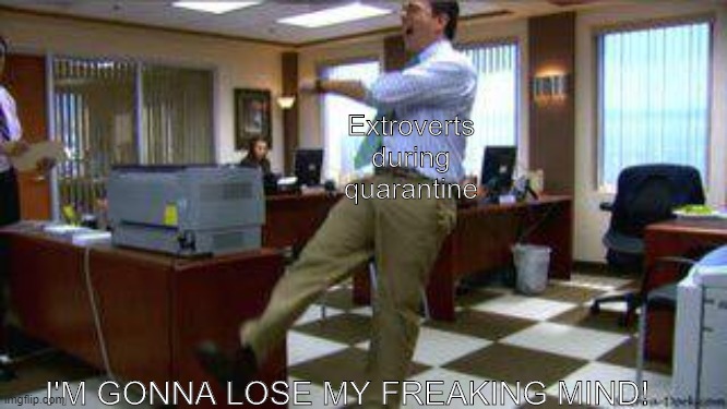 Extroverts during quarantine | Extroverts during quarantine; I'M GONNA LOSE MY FREAKING MIND! | image tagged in andy bernard lose my freaking mind | made w/ Imgflip meme maker