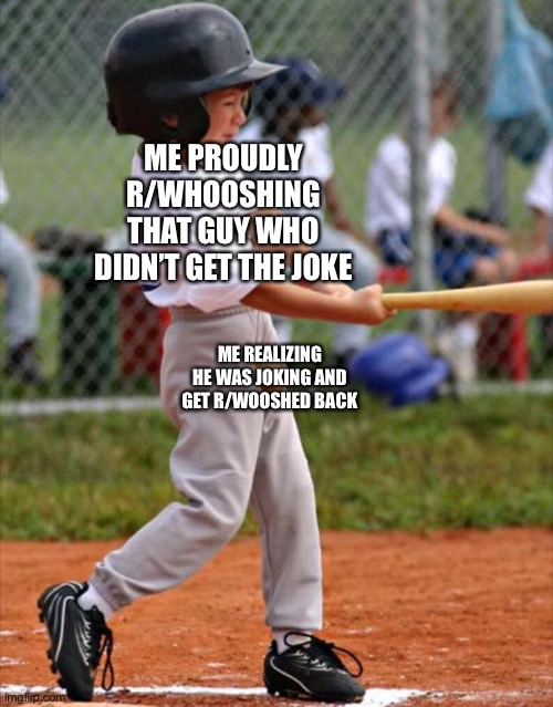 Have you ever had this happen to you? |  ME PROUDLY R/WHOOSHING THAT GUY WHO DIDN’T GET THE JOKE; ME REALIZING HE WAS JOKING AND GET R/WOOSHED BACK | image tagged in baseball | made w/ Imgflip meme maker