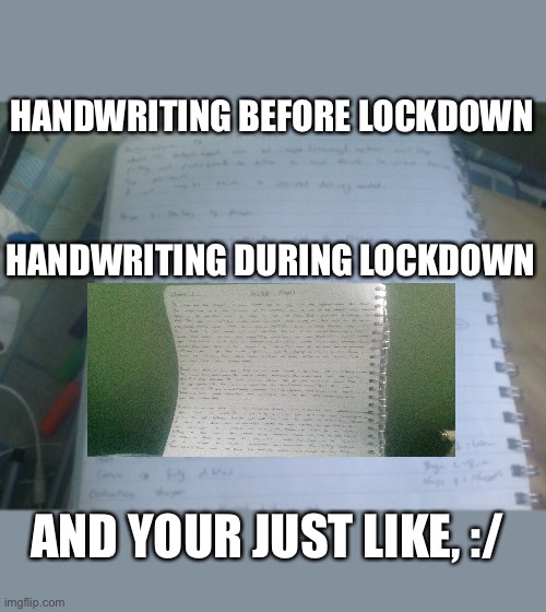 Handwriting |  HANDWRITING BEFORE LOCKDOWN; HANDWRITING DURING LOCKDOWN; AND YOUR JUST LIKE, :/ | image tagged in meme,stupid | made w/ Imgflip meme maker